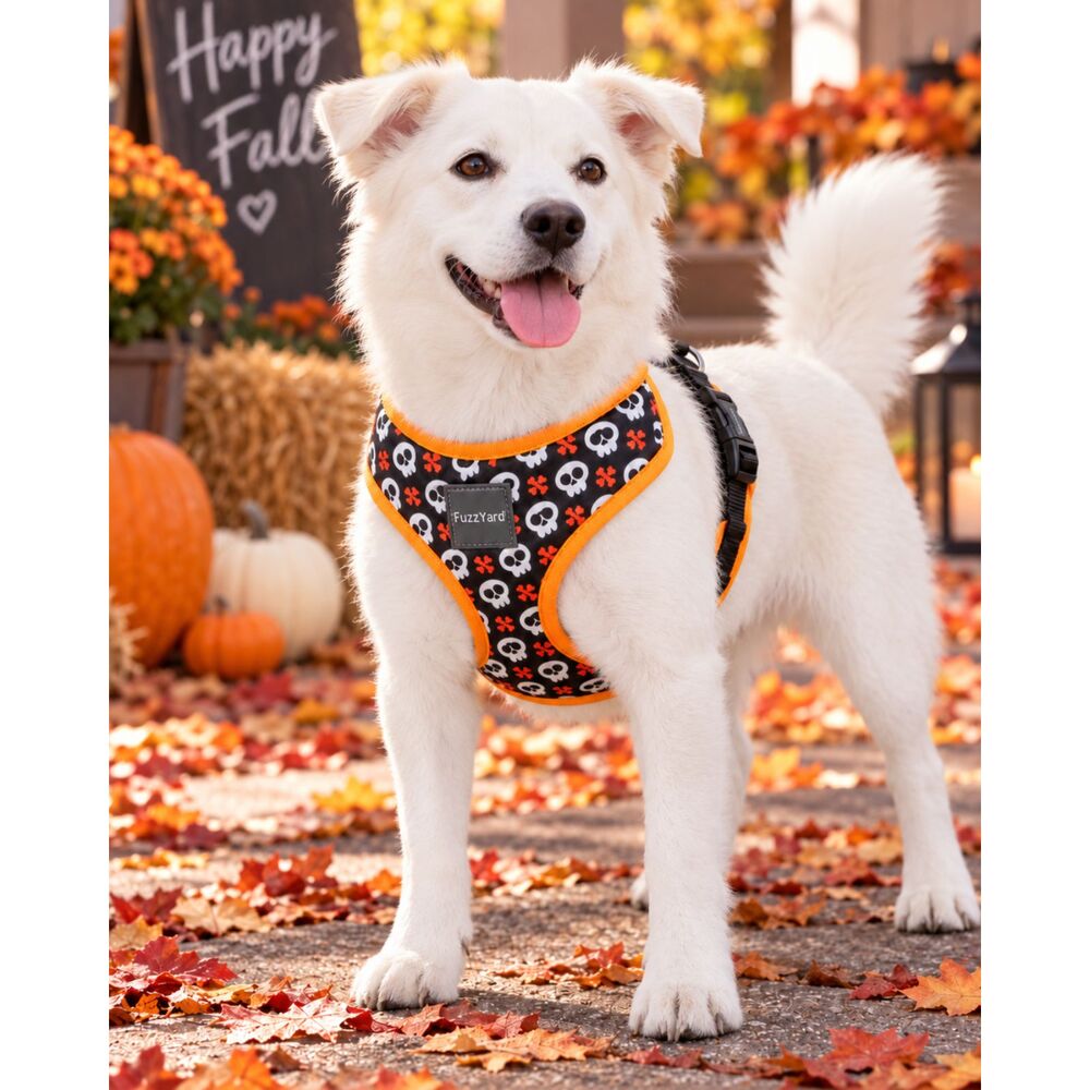 FuzzYard Skull & Crossbones Dog Harness – Black & Orange Halloween Size Medium